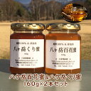 【ふるさと納税】八ケ岳百花蜜＆八ケ岳くり蜜160g2本セット　【蜂蜜・はちみつ】