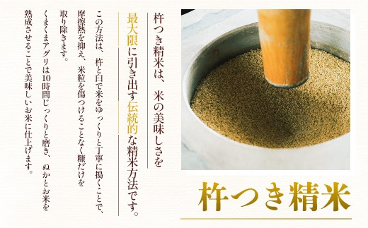  湯前町のお米「杵つき米」10kg 