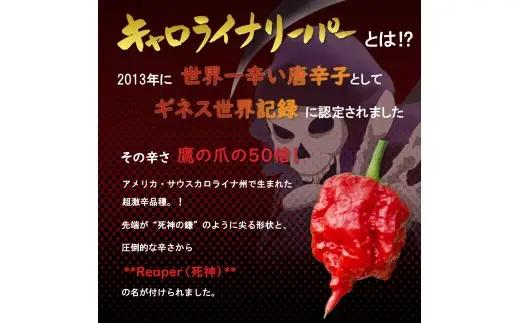 大月限定デザインの激辛一味、激辛七味。2016年ギネス認定世界一辛い唐辛子キャロライナ・リーパー使用