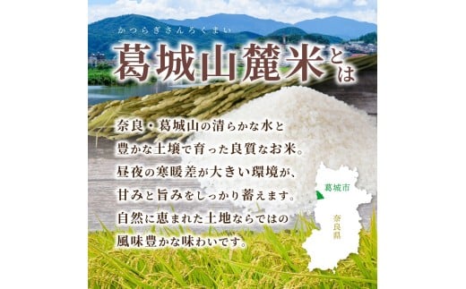 先行予約 ※3ヶ月定期便※ 葛城山麓米 ヒノヒカリ（白米）10kg ×3ヶ月 令和8年産 【2026年11月・12月・1月発送】／ 奈良 葛城 山麓米 産地直送 米 お米 新米 こめ 国産 甘い 美味