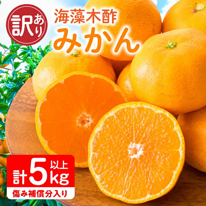 【ふるさと納税】訳あり 海藻木酢みかん 計 5kg 以上 傷み補償分入り フルーツ 果物 くだもの 柑橘 みかん 国産 みかんジュース 食品 家庭用 自宅用 B品 わけあり オレンジ デザート おやつ おすすめ おすそ分け ご褒美 産地直送 宮崎県 日南市 送料無料