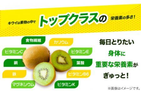 キウイフルーツ 約 3.6kg 約 33玉 JA東とくしま 《1月上旬-3月下旬頃出荷》キウイ キウイフルーツ 果物 フルーツ 徳島県 上勝町 送料無料 常温 便 st-p