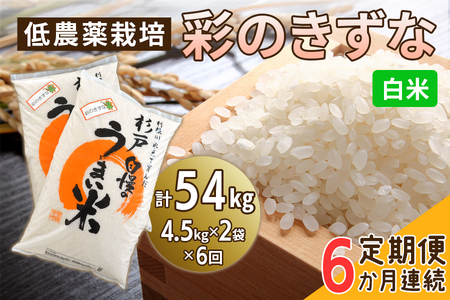 新米 [定期便／6ヶ月] 低農薬栽培の彩のきずな《白米》計54kg (4.5kg×2袋×6ヶ月連続)｜おいしい お米 コメ こめ ご飯 ごはん 白米 玄米 お取り寄せ 直送 贈り物 贈答品 ふるさと納税 埼玉 杉戸 [0553]