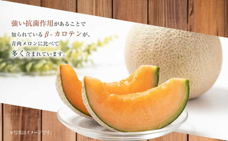 【先行予約】 北海道産青肉メロン1.6kg×2玉 (2026年7月中旬から発送予定)  | メロン_05291