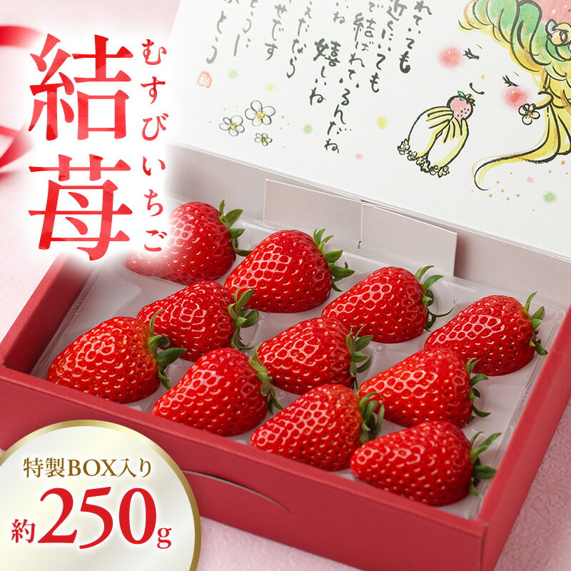 【ふるさと納税】結苺（むすびいちご）約250g（6〜11粒） 特製BOX入り いちご イチゴ 苺 ストロベリー 果物 くだもの フルーツ ギフト プレゼント 贈り物 静岡 浜松市【配送不可：北海道・沖縄・離島】　お届け：2026年1月下旬～5月下旬