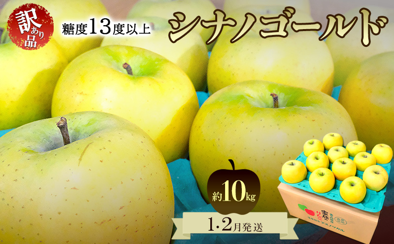 りんご【1月・2月発送】糖度13度以上 訳あり品 家庭用 シナノゴールド 約10kg【青森りんご  果物 フルーツ デザート 食後 青森県産 産地直送】