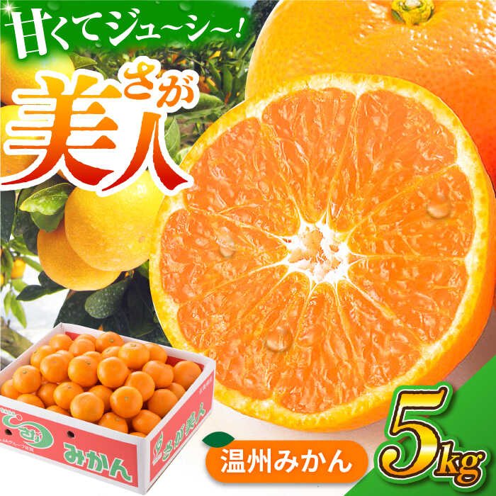 【ふるさと納税】【厳しい基準をクリアしたみかん】 佐賀みかん （さが美人）5kg 【JAさが 杵島支所】[HAM086] / 食品 フルーツ・果物 みかん 佐賀県 温州みかん 佐賀みかん さが美人 果物 フルーツ ミカン