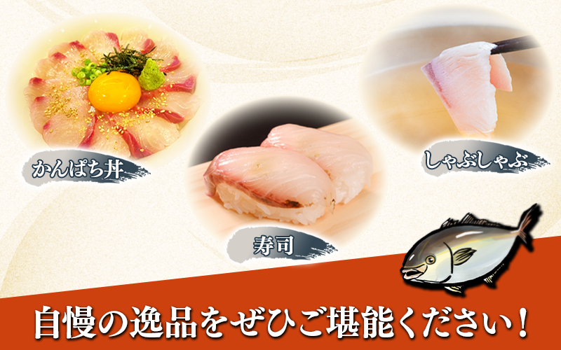 C3-7701／康秀の勘八 刺身 スライス（10枚×5P）