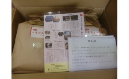 亀岡米食べ比べセット 10kg 精米 白米