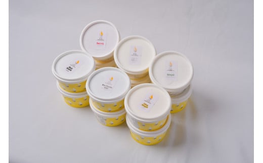  オリジナルジェラート１２カップ（プレミアムフレーバー入り）  【Gelateria Fruits laboratory 】  gf00004