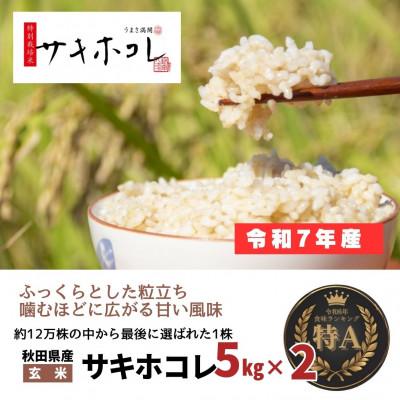 ふるさと納税 大仙市 【特別栽培米】令和7年産 秋田県産サキホコレ 5kg×2袋【玄米】