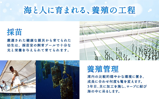 【 奄美 パール 】 パール 真珠 白蝶真珠 イヤリング（ 7mm K18 イエローゴールド イヤリング 2469 ）【天然】 真珠 ジュエリー アクセサリー  高級 高額寄附 ポイント 鹿児島県 奄