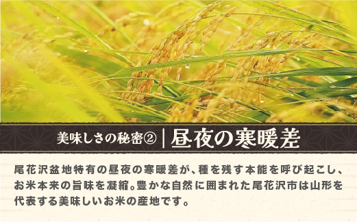 令和7年産 新米 精米 つや姫 10kg 5kg×2袋 2025年産 米 お米 国産 山形県 尾花沢市 kn-tssxa10