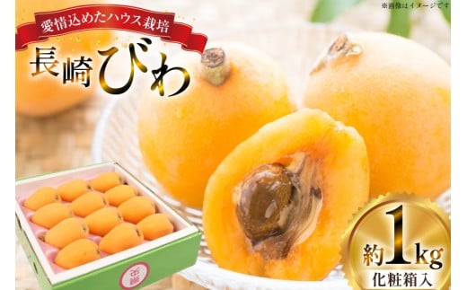 長崎 びわ 長崎県産 ハウスびわ 1kg 化粧箱入 つめあわせ 【2026年3月順次発送】[JAながさき県央グリーン東彼 長崎県 東彼杵町 hs42bag450000] 枇杷 長崎びわ ビワ フルーツ 