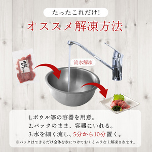 a12-278　天然 ミナミマグロ 切り落し 小分け 焼津 海の極 計1kg 100g×10P