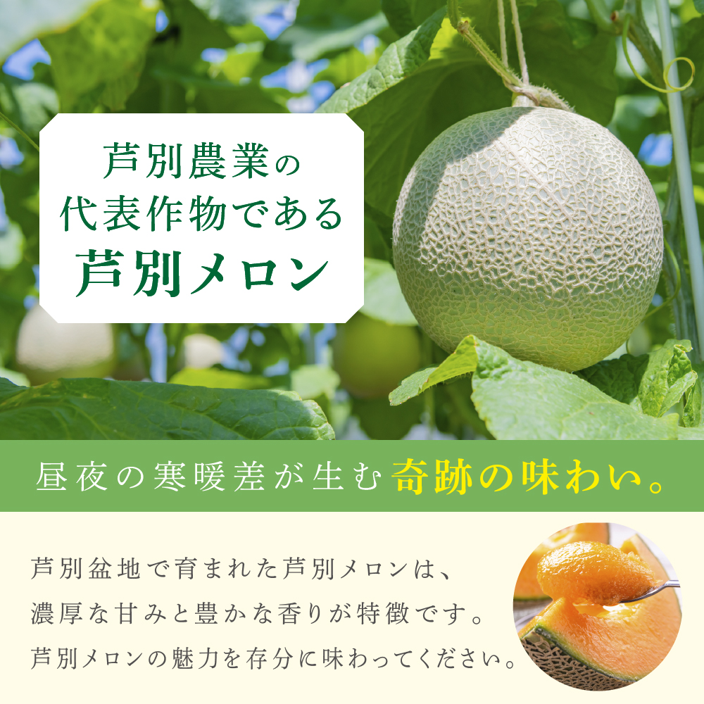 メロン 赤肉 2玉 各1.3kg セット 詰め合わせ 北海道メロン 芦