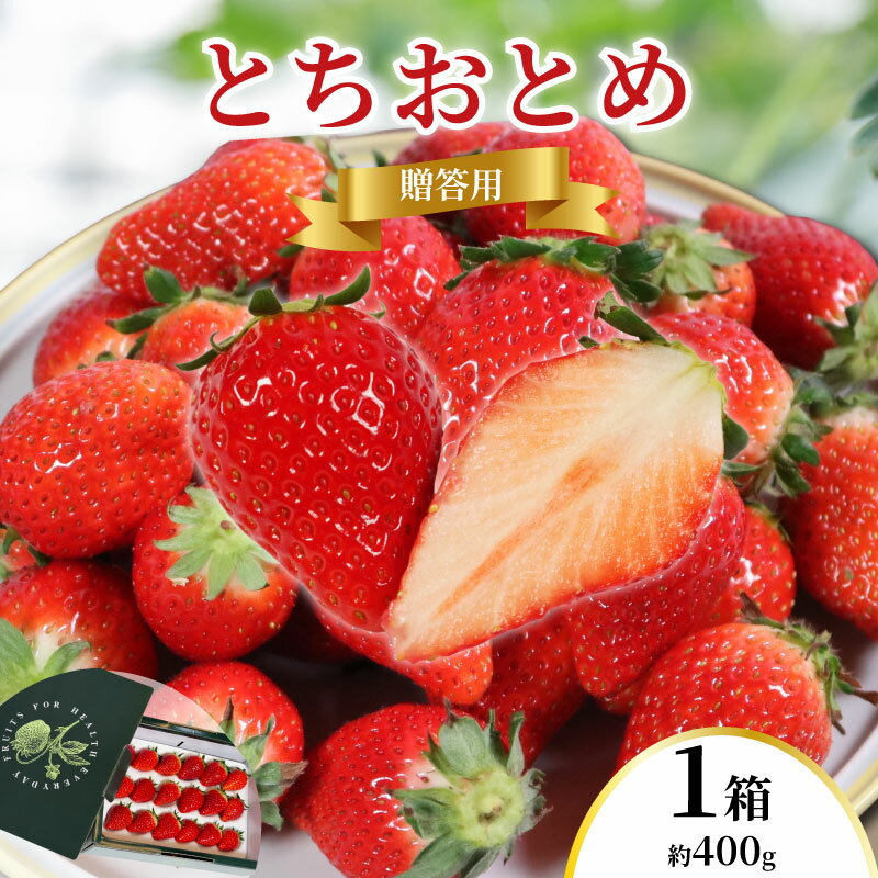 【ふるさと納税】 先行予約 いちご とちおとめ 1箱 約400g 贈答用 化粧箱 こだわり 新鮮 朝摘み 朝採り 産直 産地直送 果物 果実 甘い ストロベリー フルーツ くだもの ギフト プレゼント グルメ 贈答 苺 ふるさと納税苺 千葉県 銚子市 神原いちご園 【2027年1月~5月発送】