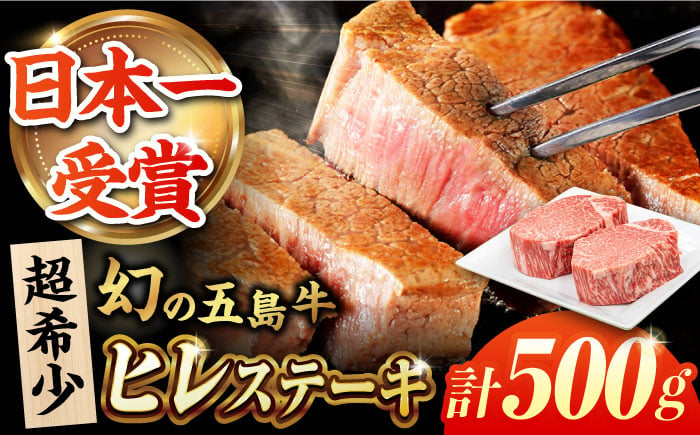 
            五島牛ヒレ 250g×2枚 牛肉 冷凍 国産牛 ブランド牛 牛ヒレ 五島市/ごとう農業協同組合 [PAF032]
          