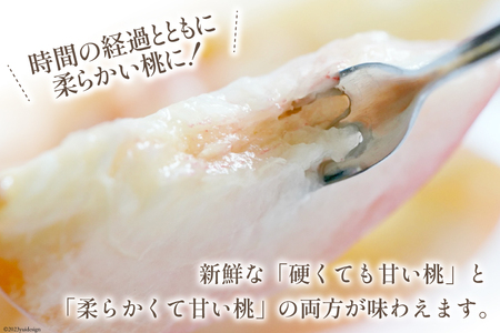 【2026年発送】特選 桃 山梨 セレブ プレミアム 2玉 約600g  [Inakakara 山梨県 韮崎市 20743487]