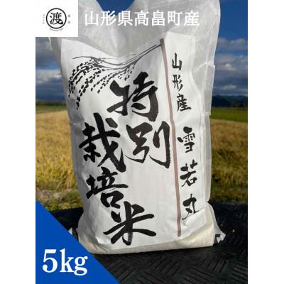 ふるさと納税 高畠町 【発送月固定定期便】【山形県高畠産】特別栽培米 雪若丸 5kg 10月〜3月発送全6回