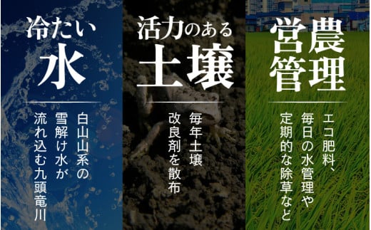 【先行予約】【令和8年産 新米】【一等米】エコ栽培コシヒカリ 白米10kg（5kg×2） ／ 鮮度抜群 福井県産 こしひかり ご飯 新鮮 白米 ※2026年10月上旬以降順次発送 [aw063-a03