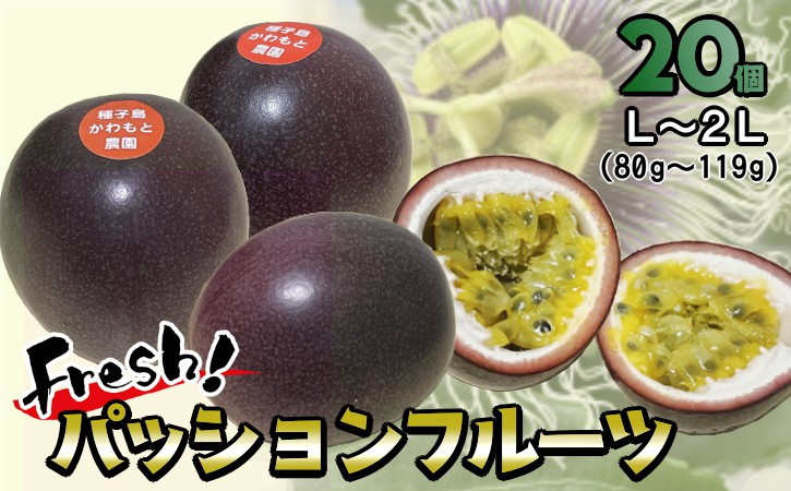 
                  【 6月下旬～8月初旬  】種子島 かわもと農園 パッションフルーツ サマークイーン (20個) 　NFN438【450pt】 種子島産 夏期限定 南国 無農薬 安心 安全  果物 夏の果物
                