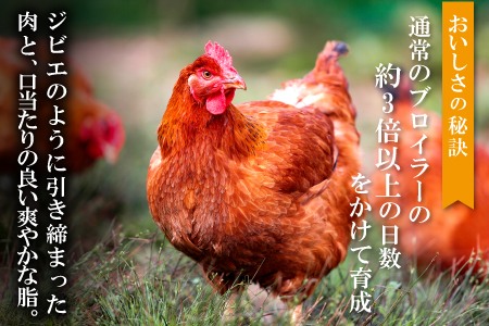 【熟成】銀山赤どり精肉定期便（１羽分×12回お届け）【鶏肉 定期便 地鶏 もも肉 むね肉 1羽分 まるごと 1kg～1.2kg 12回 合計12羽分 定期 鶏 赤鶏 赤どり 熟成 冷凍 真空パック 国