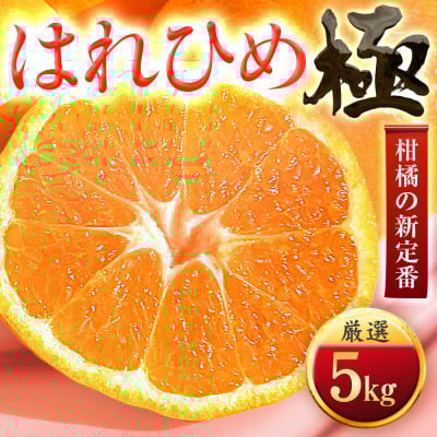 
            ＜太陽をたっぷり浴びた＞はれひめ＜極＞5kg＜C49-82＞【1621794】
          