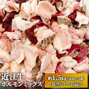 【ふるさと納税】近江牛ホルモンミックス　約1.5kg　 ふるさと納税 近江牛 牛肉 ホルモン お肉 もつ鍋 牛肉炒め物 　お届け：繁忙期は最長3か月。納期指定不可