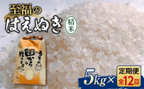 『定期便』令和5年産米 至福のはえぬき（精米）5kg 全12回 米 お米 おこめ 山形県 新庄市 F3S-1606