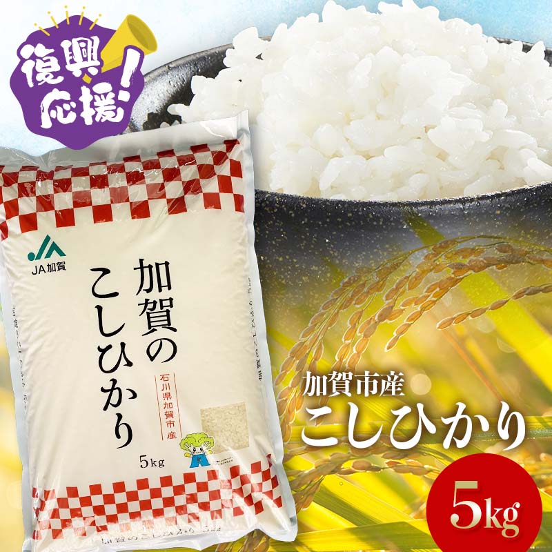 【ふるさと納税】【選べる配送月】 復興応援米 こしひかり 5kg 精米 令和7年産 先行予約10月から順次発送 銘柄米 お米 米 ギフト 贈り物 グルメ 食品 復興 震災 コロナ 能登半島地震 復興支援 北陸新幹線 F6P-2918var