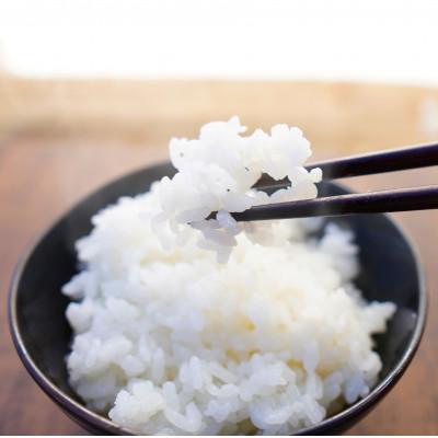 ふるさと納税 上越市 【令和6年産 2024年10月より順次発送】新潟県上越産 特別栽培米新之助【白米】 5kg×1袋 |  | 01