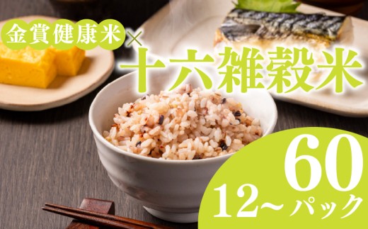 ご飯パック 金賞 健康米 十六雑穀米  120g×60個入り 国産 レンチン もち麦 軽食 夜食 簡単 白米 麦 食物繊維 ビタミン 御飯 ごはん パック ご飯 パックライス
