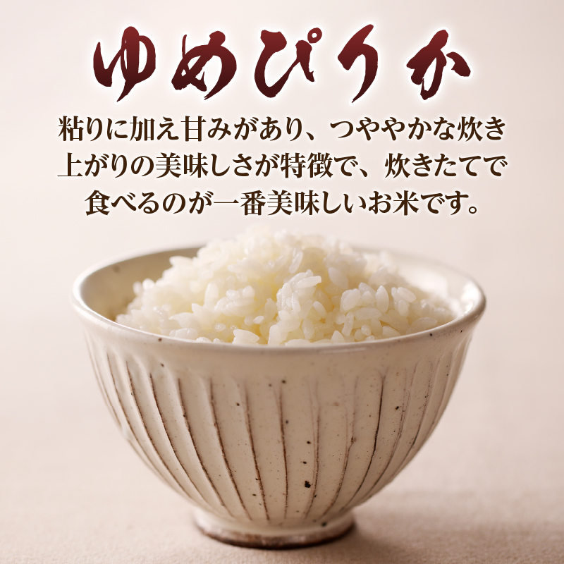 【令和7年産新米先行受付】ゆめぴりか5kg 北海道 ブランド米 贈答 鮭フレーク 特A お弁当 朝食