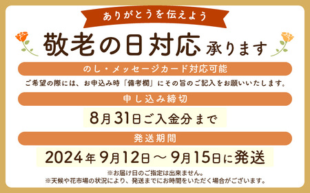 【 敬老の日限定 】 そのまま飾れる フラワーアレンジメント 生花【9月12日～15日発送】 感謝を大切な人に メッセージカード付・越前和紙 小花一輪付【ギフト 手軽 花 華 おしゃれ プレゼント 敬