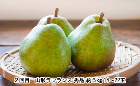 【定期便2回】ふるさとからの贈り物 りんごとラフランス便 FZ23-657
