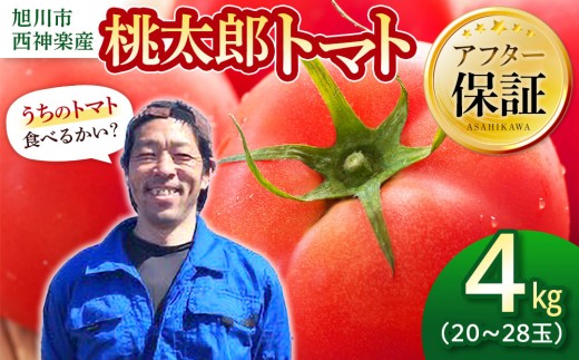 旭川市西神楽産 桃太郎トマト4kg（2026年6月中旬～発送開始予定） 【 トマト とまと tomato 野菜 果物 やさい 鮮度 新鮮 栄養 栄養満点 お弁当 トマトジュース ミネストローネ トマトスープ 野菜 やさい サラダ  北海道 旭川市 】_00960