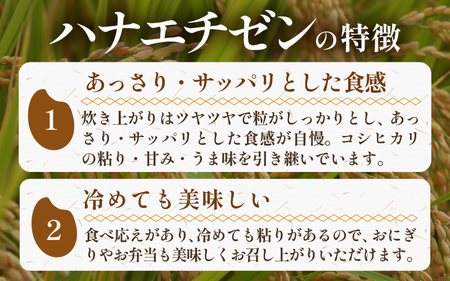 【令和5年産】《定期便》5kg×3回 15kg 特別栽培米 ハナエチゼン 無洗米 低農薬 《こだわり極上無洗米》 / 福井県 あわら 北陸 米 お米 人気 