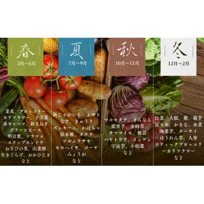 ふるさと納税 南伊豆町 湯の花 旬の野菜セット 9〜11品 |  | 01