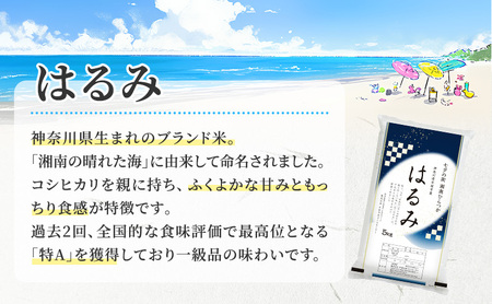 【定期便3か月】『令和7年産新米』　(株)平塚中央ライスセンターが自社で苗から育てカ　はるみ5kg 精米　過去2回　特A獲得
