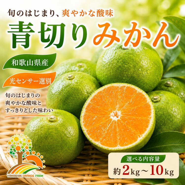 【ふるさと納税】【先行予約】選べる内容量 こだわりの青切りみかん 農家直送 有機質肥料 100% サイズ混合 ｜ みかん 柑橘 果物 くだもの 果実 フルーツ 和歌山 有田