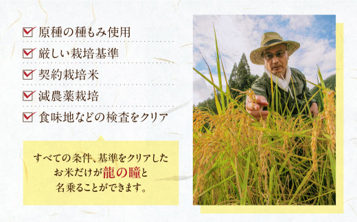 予約受付【2026年産米】（2027年2月発送）3kg×1袋 飛騨産・龍の瞳(いのちの壱) 株式会社龍の瞳直送 米 3キロ 令和8年産 精米 ブランド米 りゅうのひとみ 龍の瞳 下呂市 下呂温泉 竜の
