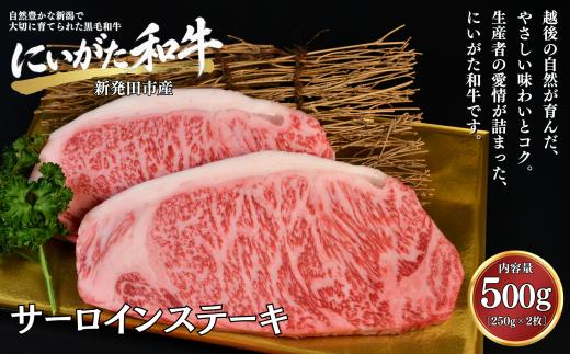肉 和牛 サーロインステーキ 500g にいがた和牛 黒毛和牛 牛肉 ギフト 贈答用 300g×2袋 グルメ お取り寄せ 新発田市産 ごちそう 精肉 新潟県 新発田市 yoneichi014