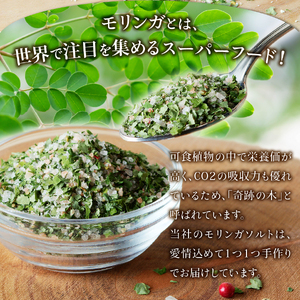 調味料 モリンガガーリック＆ペッパーソルト　レフィル2袋セット 【メール便発送】 ペッパー 塩