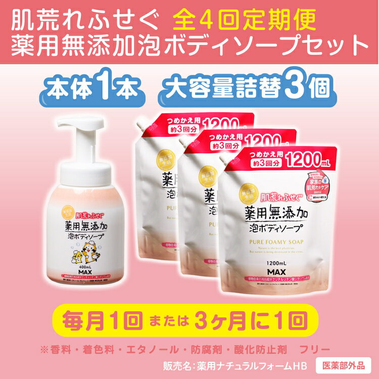 【ふるさと納税】【全4回定期便】肌荒れを防ぐ薬用無添加　泡ボディソープセット　＜無添加生活シリーズ＞ ※北海道・沖縄・離島への配送不可