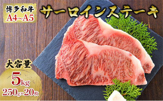 
牛肉 サーロインステーキ 合計5kg 博多和牛 A4～A5 セット 250g×20枚 配送不可：離島
