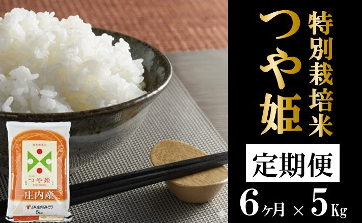 
                  ≪6ヶ月定期便≫ 特別栽培米 つや姫 5kg×6ヶ月 計30kg 山形県庄内産 毎月下旬頃にお届け 東北 酒田市 庄内地方 庄内平野 お米 精米 白米 ブランド米 庄内米 ごはん ご飯 農協 JA 産地直送 JA庄内みどり SH0096
                