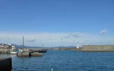 【先行受付】冷凍伊勢海老１kg（サイズおまかせ）エビ 甲殻類 海鮮BBQ アウトドア キャンプ お祝い【R00640】