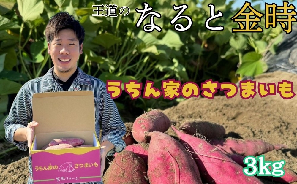 
                  【先行受付中・2026年9月下旬頃より順次発送】【笠岡ファーム】うちん家のさつまいも 3kg │ 鳴門金時 なると金時 さつまいも 芋 スイーツ お菓子   徳島 鳴門
                