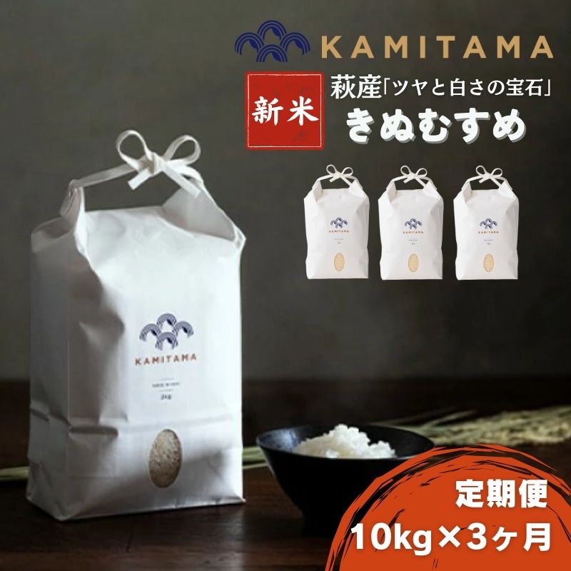 【ふるさと納税】定期便 3か月 きぬむすめ 令和7年 10kg 米 コメ こめ 萩産 KAMITAMA